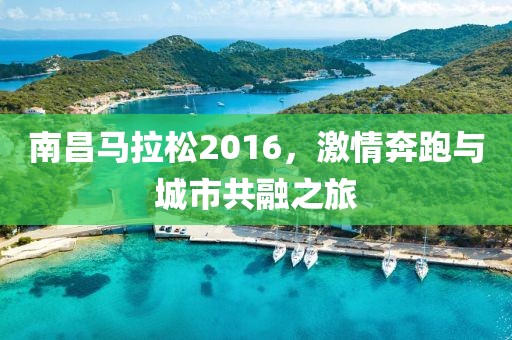南昌马拉松2016，激情奔跑与城市共融之旅