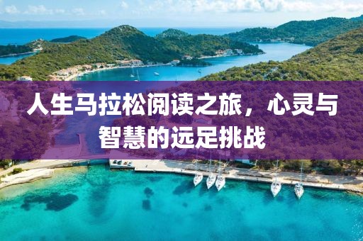 人生马拉松阅读之旅，心灵与智慧的远足挑战