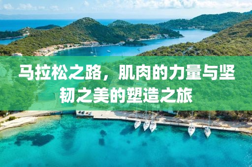 马拉松之路，肌肉的力量与坚韧之美的塑造之旅