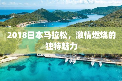 2018日本马拉松，激情燃烧的独特魅力