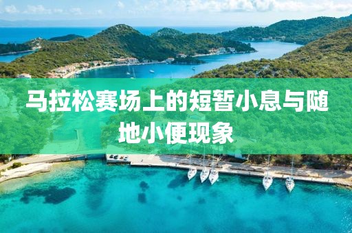 马拉松赛场上的短暂小息与随地小便现象