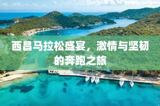 西昌马拉松盛宴，激情与坚韧的奔跑之旅
