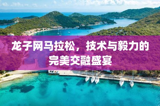 龙子网马拉松，技术与毅力的完美交融盛宴
