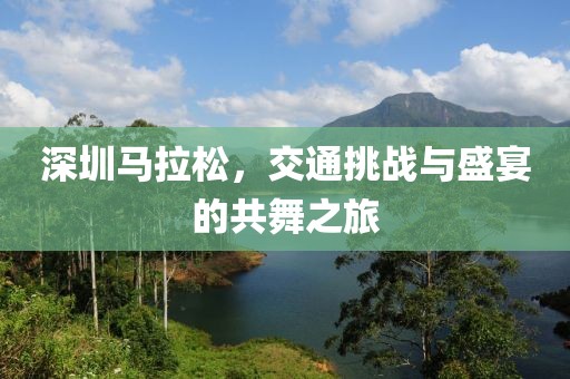 深圳马拉松，交通挑战与盛宴的共舞之旅