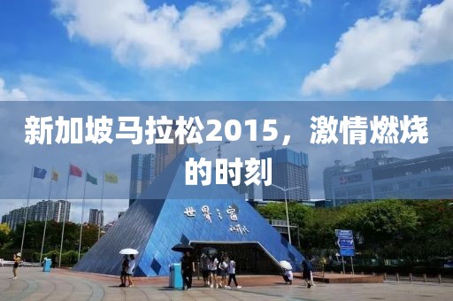 新加坡马拉松2015，激情燃烧的时刻