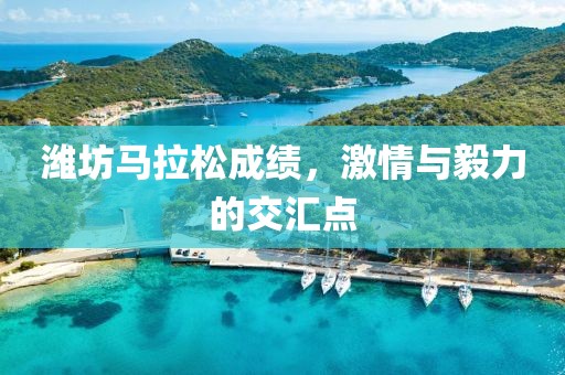 潍坊马拉松成绩，激情与毅力的交汇点