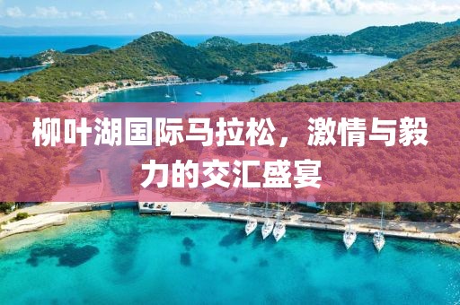 柳叶湖国际马拉松，激情与毅力的交汇盛宴