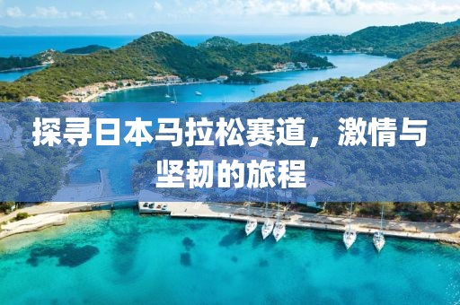 探寻日本马拉松赛道，激情与坚韧的旅程