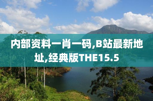 内部资料一肖一码,B站最新地址,经典版THE15.5