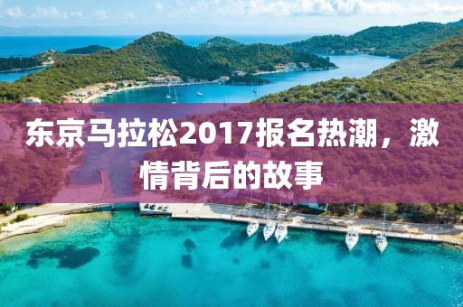 东京马拉松2017报名热潮，激情背后的故事