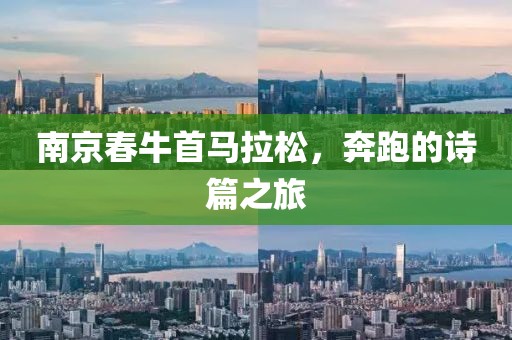 南京春牛首马拉松，奔跑的诗篇之旅