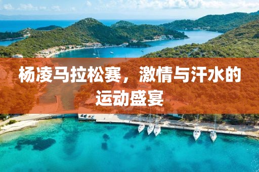 杨凌马拉松赛，激情与汗水的运动盛宴