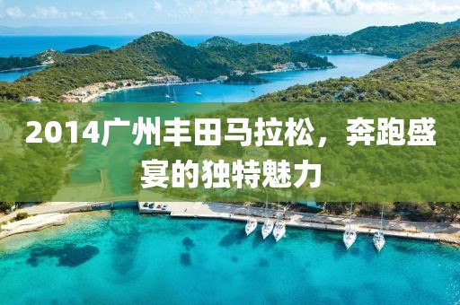 2014广州丰田马拉松，奔跑盛宴的独特魅力