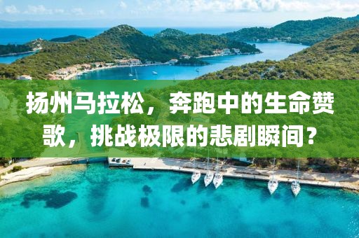 扬州马拉松，奔跑中的生命赞歌，挑战极限的悲剧瞬间？