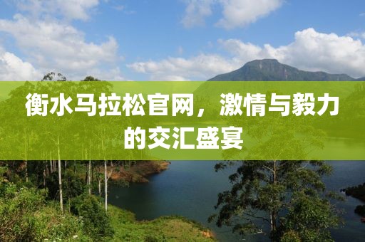 衡水马拉松官网，激情与毅力的交汇盛宴