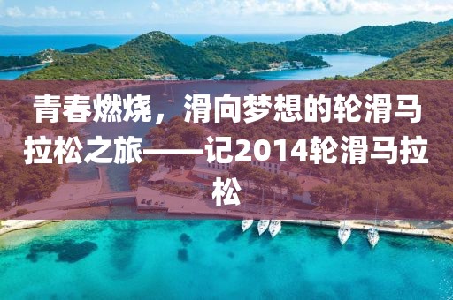 青春燃烧，滑向梦想的轮滑马拉松之旅——记2014轮滑马拉松
