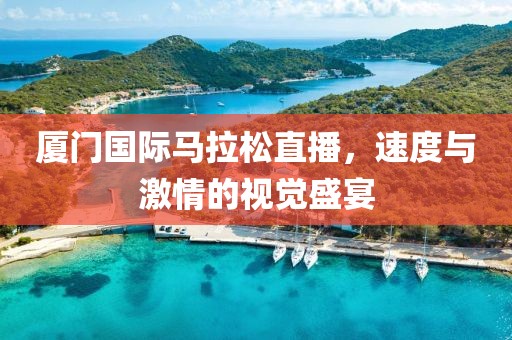 厦门国际马拉松直播，速度与激情的视觉盛宴