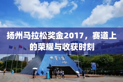 扬州马拉松奖金2017，赛道上的荣耀与收获时刻