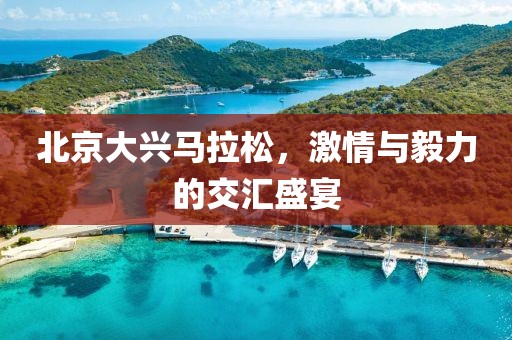 北京大兴马拉松，激情与毅力的交汇盛宴