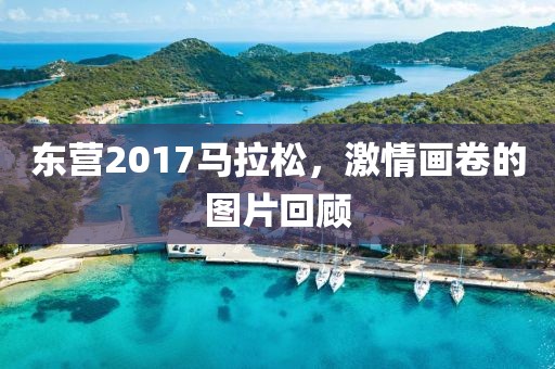 东营2017马拉松，激情画卷的图片回顾