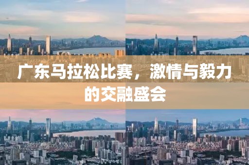广东马拉松比赛，激情与毅力的交融盛会
