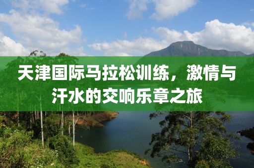 天津国际马拉松训练，激情与汗水的交响乐章之旅