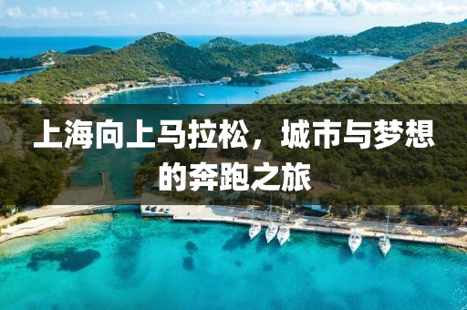 上海向上马拉松，城市与梦想的奔跑之旅