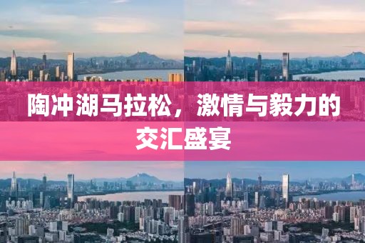 陶冲湖马拉松，激情与毅力的交汇盛宴