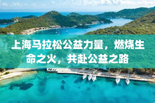 上海马拉松公益力量，燃烧生命之火，共赴公益之路