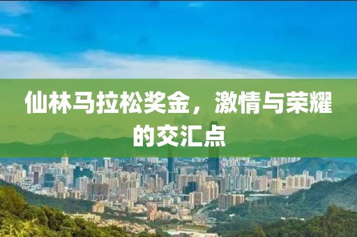仙林马拉松奖金，激情与荣耀的交汇点
