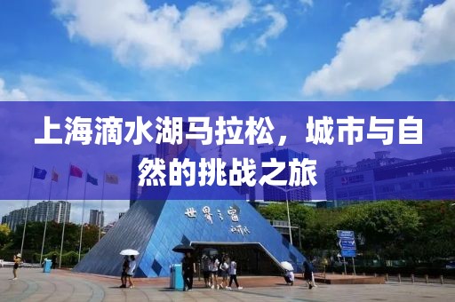 上海滴水湖马拉松，城市与自然的挑战之旅