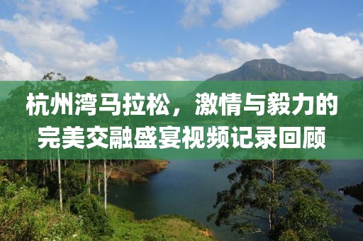 杭州湾马拉松，激情与毅力的完美交融盛宴视频记录回顾
