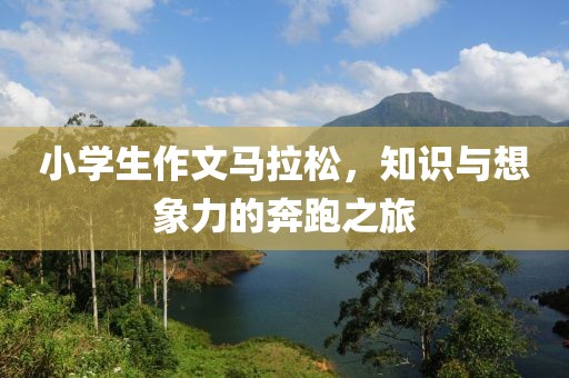 小学生作文马拉松，知识与想象力的奔跑之旅