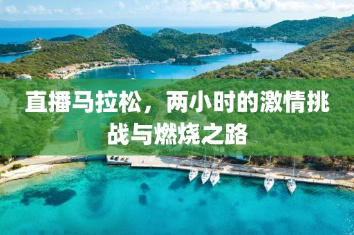 直播马拉松，两小时的激情挑战与燃烧之路