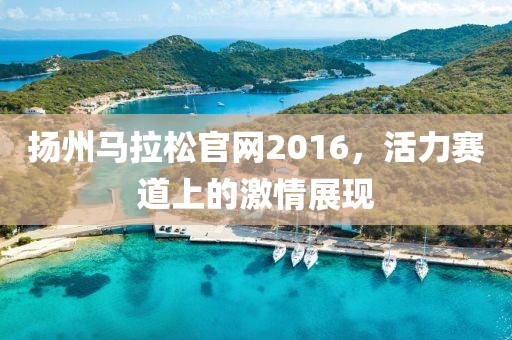 扬州马拉松官网2016，活力赛道上的激情展现