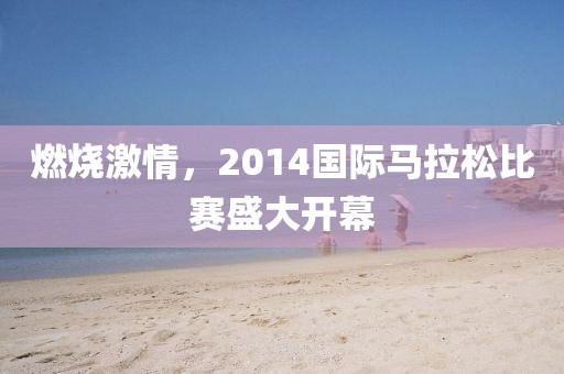 燃烧激情，2014国际马拉松比赛盛大开幕