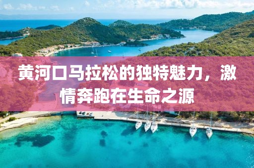 黄河口马拉松的独特魅力，激情奔跑在生命之源