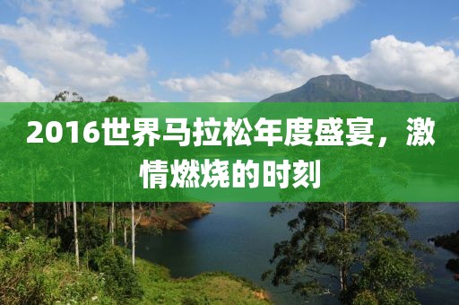 2016世界马拉松年度盛宴，激情燃烧的时刻