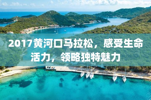 2017黄河口马拉松，感受生命活力，领略独特魅力