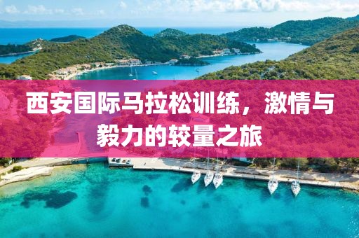 西安国际马拉松训练，激情与毅力的较量之旅