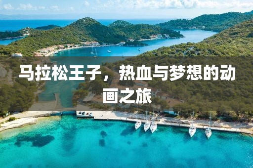 马拉松王子，热血与梦想的动画之旅