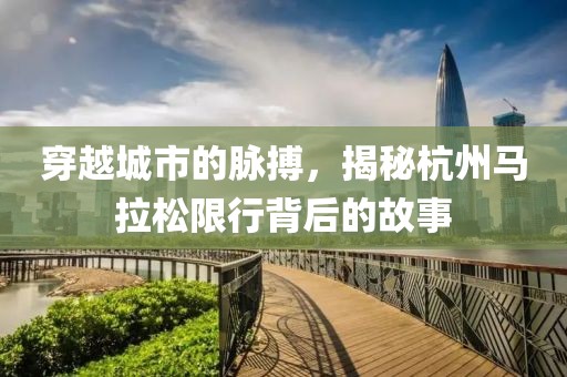 穿越城市的脉搏，揭秘杭州马拉松限行背后的故事
