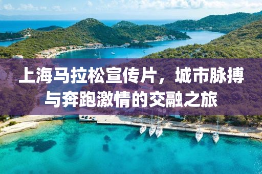 上海马拉松宣传片，城市脉搏与奔跑激情的交融之旅