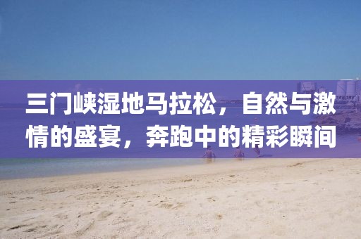 三门峡湿地马拉松，自然与激情的盛宴，奔跑中的精彩瞬间