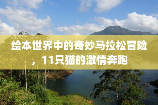绘本世界中的奇妙马拉松冒险，11只猫的激情奔跑
