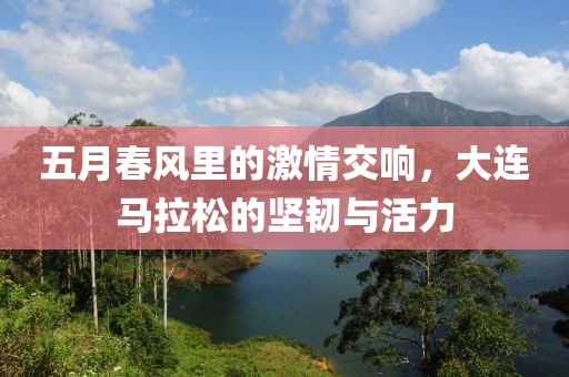 五月春风里的激情交响，大连马拉松的坚韧与活力