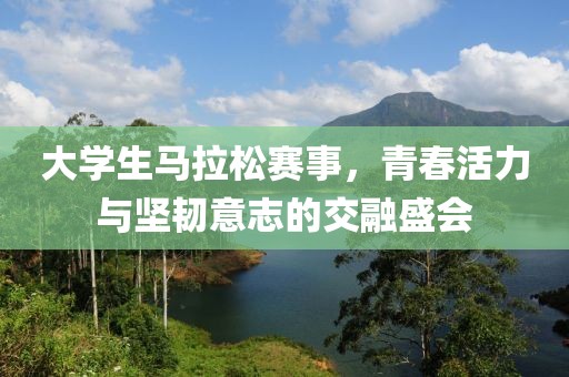 大学生马拉松赛事，青春活力与坚韧意志的交融盛会