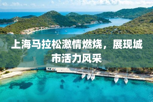 上海马拉松激情燃烧，展现城市活力风采