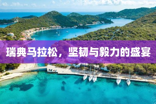 瑞典马拉松，坚韧与毅力的盛宴