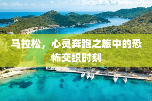 马拉松，心灵奔跑之旅中的恐怖交织时刻